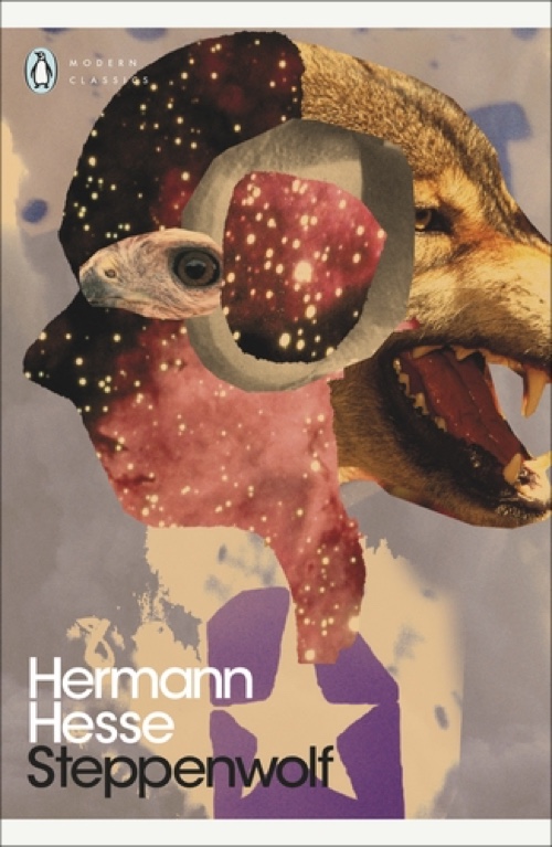 Steppenwolf book cover
